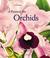 Cover of: A Passion for Orchids