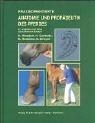 Cover of: Praxisorientierte Anatomie des Pferdes. by Horst Wissdorf, Hartmut Gerhards, Bernhard Huskamp