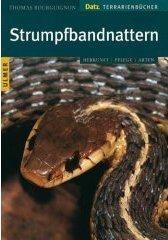 Cover of: Strumpfbandnattern. Herkunft, Pflege, Arten.