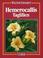 Cover of: Hemerocallis. Taglilien.