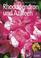 Cover of: Schöne Rhododendron und Azaleen.