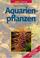 Cover of: Aquarienpflanzen.