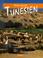 Cover of: Reise durch Tunesien.