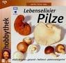 Cover of: Hobbythek. Lebenselixier Pilze. Vitalisierend, gesund, heilend, potenzsteigernd.