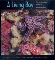 Cover of: A Living Bay by Lovell Langstroth, Libby Langstroth