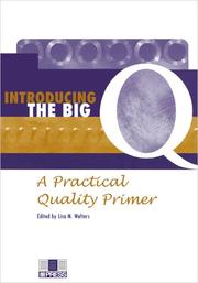 Cover of: Introducing the Big Q: A Practical Quality Primer