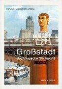 Cover of: Großstadt. Soziologische Stichworte. by Hartmut Häußermann