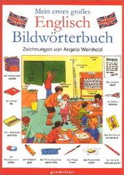 Cover of: Mein erstes großes Englisch Bildwörterbuch.