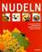 Cover of: Nudeln. So gelingt's.
