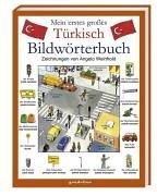 Cover of: Mein erstes großes Türkisch Bildwörterbuch. Physik und die Erscheinung des Lebendigen.