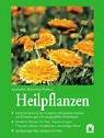 Cover of: Heilpflanzen. by Mannfried Pahlow, Mannfried Pahlow