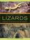 Cover of: Lizards