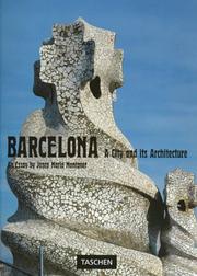 Cover of: Barcelona: City and Architecture (Big Series Art)