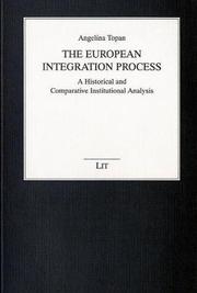 The European Integration Process by Angelina Topan