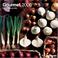 Cover of: Gourmet 2006 Calendar