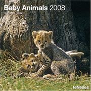 Cover of: Baby Animals 2008 Calendar
