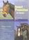 Cover of: Insect Protection for Horses