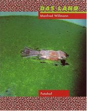 Cover of: Manfred Willmann: Das Land 1981-1993