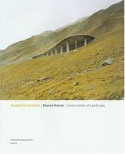 Cover of: Marhgerita Spiluttini: Beyond Nature - Constructions of Landscape