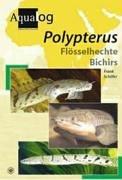 Cover of: Aqualog: Polypterus--Bichirs