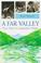 Cover of: A Far Valley