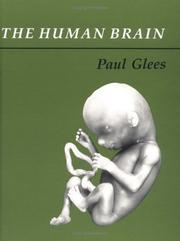 Cover of: The human brain