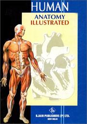 Cover of: Human Anatomy Illustrated