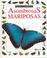 Cover of: Asombrosas Mariposas (Colección "Mundos Asombrosos"/Eyewitness Junior Series)