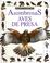 Cover of: Asombrosas Aves de Presa
