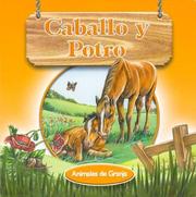 Cover of: Caballo y Potro