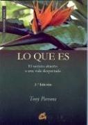 Cover of: Lo Que Es by Tony Parsons