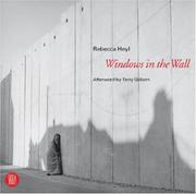 Cover of: Windows in the Wall by Rebecca Heyl