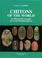 Cover of: Chitons of the World