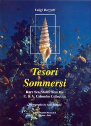 Cover of: Tesori Sommersi by Luigi Bozzetti