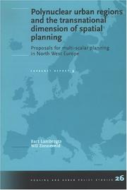 Cover of: Polynuclear Urban Regions & The Transnational Dimension Of Spatial Planning | B. W. Lambregts