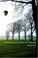 Cover of: Luchtballonnen boven de snelweg