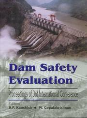 Cover of: Dam Safety Evaluation 3rd Intl