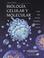 Cover of: Biologia Celular y Molecular - 4
