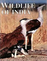 Cover of: Wildlife of India (Our World in Colour)
