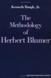 Cover of: The methodology of Herbert Blumer: critical interpretation and repair