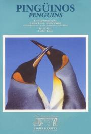Cover of: Pinguinos - Penguins
