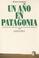 Cover of: Un Ano En Patagonia