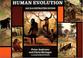 Cover of: Human evolution