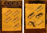 Cover of: Codex seraphinianus.