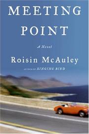 Cover of: Meeting Point: A Novel