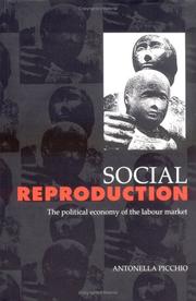 Cover of: Social reproduction: the political economy of the labour market