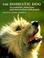 Cover of: The domestic dog