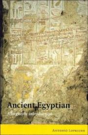 Cover of: Ancient Egyptian by Antonio Loprieno