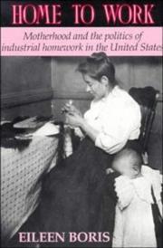 Cover of: Home to work: motherhood and the politics of industrial homework in the United States