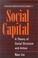 Cover of: Social Capital